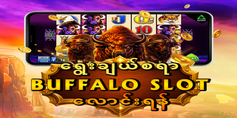ကျွဲ ဂိမ်း ဖရီးစပင်း 50